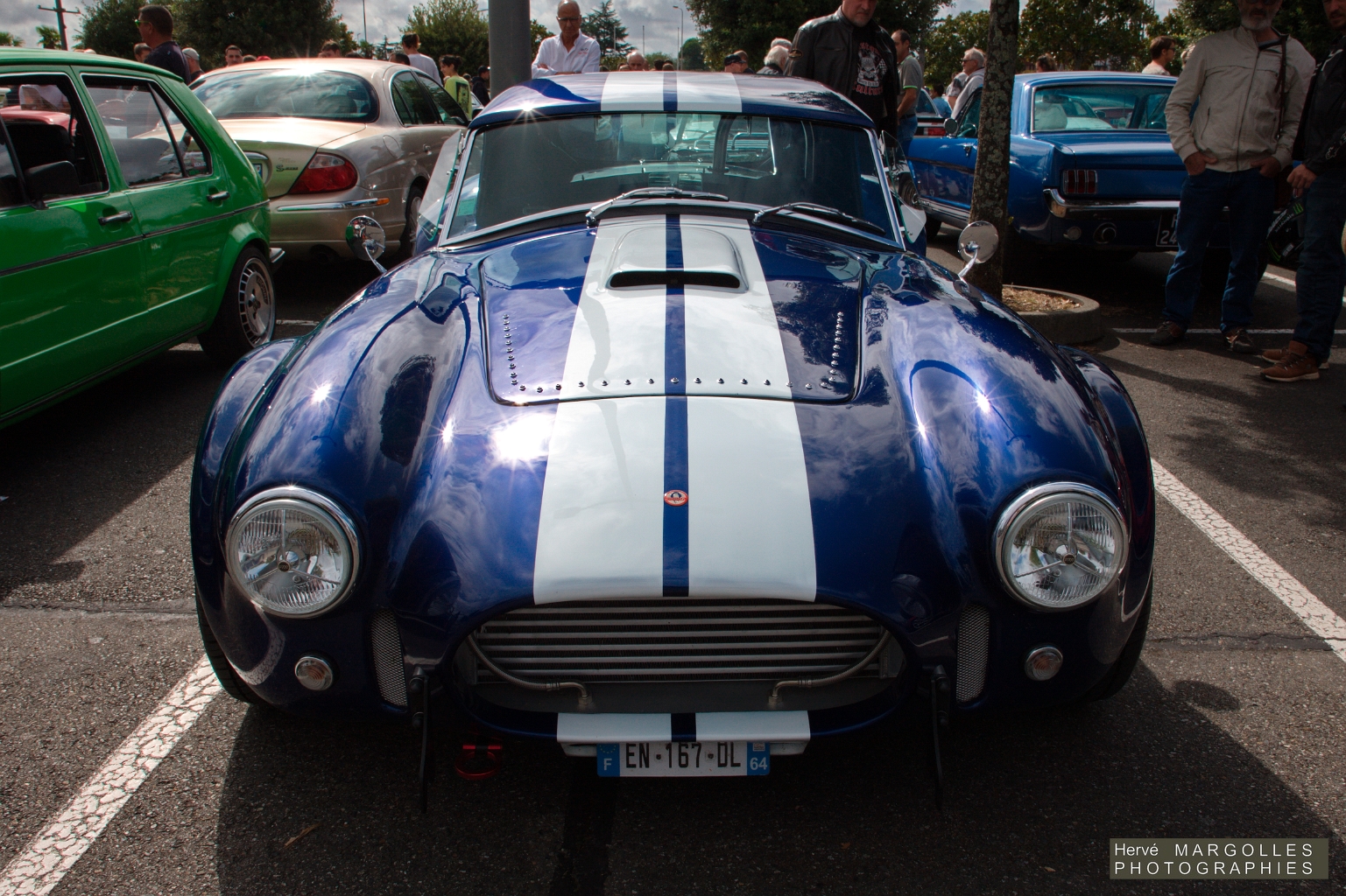 AC Cobra_03.jpg